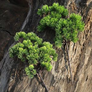 装飾的な花36​​cmプラスチック人工植物個人用中庭ショッピングセンターファミリーウェディングパーティーの装飾のための偽の松の枝