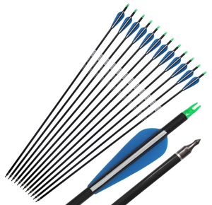 31quot Carbon Arrow Spine 340 with Blue Feather Carbon Arrow for Compound Bow Arrow Practice Hunting2386457