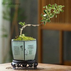 Planters krukor specialrabatt på kinesiska lila lera blomkrukor med en basfack bonsai potten orkidé grön växt kött keramik LF425 Q240429