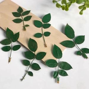 Decorative Flowers 25 PCS Real Green Leaves Rose Flower For Centerpieces Room Decor Wedding Bridal Bouquets DIY Art Crafts