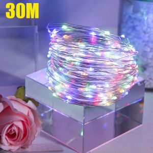 Украшения 30 м USB Светодиодные светильники медные проволочные гирлянды Fairy Lights для рождественской свадебной вечеринки.