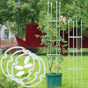 Decorations Climbing Plant Trellis 4 Sizes Pp Plastic Ring for Assemble Garden Tomato Support Cages Flowers Plants Support Frame Vines Stand