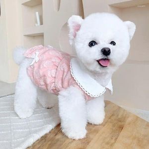 Hundkläder hundar kläder katt lapel rose båge klänning kläder kawaii koreansk mode kjol liten vår sommar tunna flicka söta husdjursprodukter