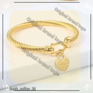 Titanium Steel Tiffanyjewelry Bracelet with Hook Bangle Jewelry Cable Wire Gold Color Love Heart Charm Bangle Closure for Women Men Wedding Gifts 425