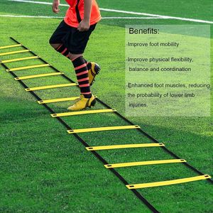 1 Pc Speed Training Agile Ladder - Improve Footwork Coordination And Speed 12 Runs - Includes Handbag 240429