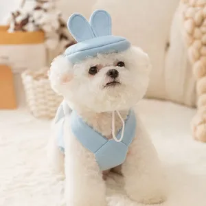 Vestido de vestuário de vestuário de vestido grande, peças de cachorro, vestido de vestido boina elegante para cães pequenos roupas gato outono inverno quente moda coreana kawaii sweet animal de estimação item