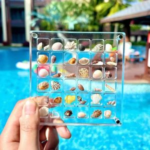 Decorative Plates Acrylic Magnetic Seashell Display Box 36/64 Grids Clear Storage Small Craft Organizers Container