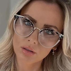 Sunglasses Retro Round Women Spring Hinge Glasses Frame Fashion Clear Anti Blue Light Eyewear Men Cat Eye Optical Leopard