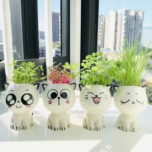 Planters Pots 1 ceramic flowerpot mini cat cartoon cute plant desktop decoration DIY decorative toy science education school gift Q240429