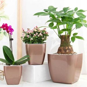 Planters Pots Flower pots self watering plant meat soup automatic drainage flower macetas para plantas Q240429