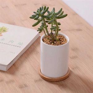 Planters Pots Cute white ceramic cylindrical flower pot with bamboo tray small gravy on the table green plant home decoration Q240429