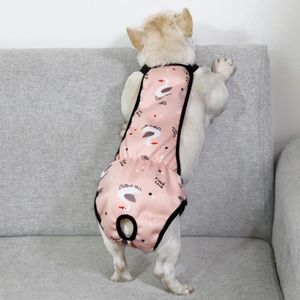 Dog Apparel Pet Menstrual Pants Waterproof Diaper With Underwear Cartoon Pattern Women's Sanitary Shorts Supplies