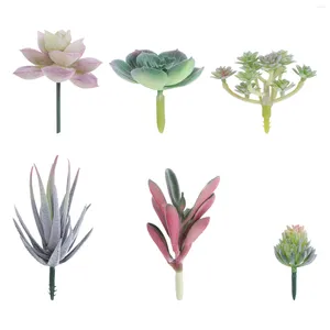 Decorative Flowers Simulated Succulents Home Decor Artificial Plants Faux Mini Fake Assorted Cactus