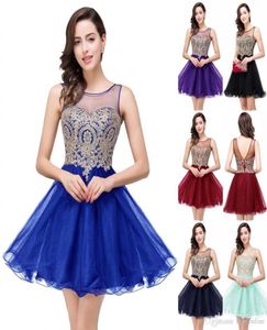 Babyonlinedress 2020 Sexy Illution Tulle Neck Lace Cocktail Dresses Charming Sleeveless Zipper Back Mini Evening Prom Dresses CPS32487972