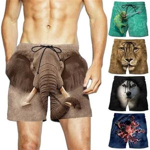 Menas de banho masculinas novas e interessantes em forma de animal shorts de praia para homens 3d Impresso Cute Surfboard Q240429