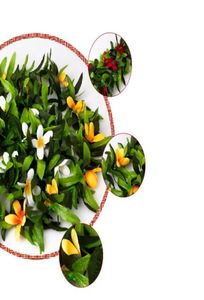 Grinaldas de folhas dicróicas de 6070 cm2 pés com flores de jasmim 12pcslot havaí grinaldas de flores para decoração de casamento7347963