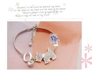 Цепь корейский полнокристалл милый браслет для собак Агатт Кристалл Животный браслет для женщины