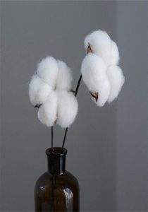 Pampas Grass Phinker Cotton Flower Sessic Cotton Stems Farmhouse Naturalmente artificiale Picchia di cotone naturale NO VASE9629639