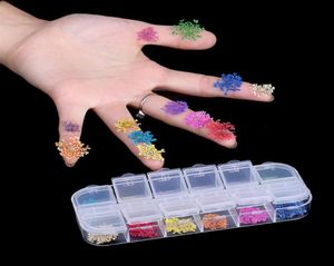 12 färger riktiga torra torkade blommor nagelkonstdekoration för UV gel naglar klistermärke för nageldesign DIY Manicure Styling Nail Art Tools24828914