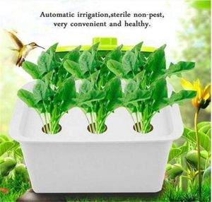 6 hål växtplats Hydroponic System Grow Kit Bubble inomhus trädgårdsskåp Box Garden Supplies Patio Lawn Garden Planters Pots1842026