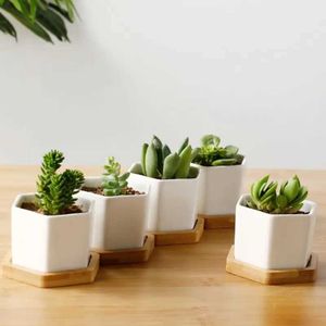 Piantatrici vasi di fiori esagonale bianco ceramica per cactus con fori di drenaggio e giardino del vassoio di bambù Q240429
