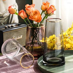 Vazolar Avrupa altın hat cam ev dekora oda çiçek sepeti vazo dekorasyon şeffaf yaratıcı basit yüksek kalite