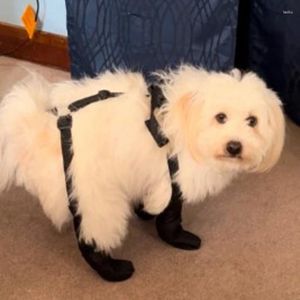 Dog Apparel Shoe Boot Durable Anti-Dirty Puppy Shoes Pet Waterproof Breathable Non-Slip Outdoor