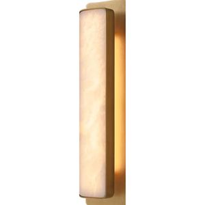 Lampada a parete acrilica a LED moderna elegante 19W Cool White 2700K - Speciali montati a parete per bagno, soggiorno, camera da letto, scala - soluzione di illuminazione interno