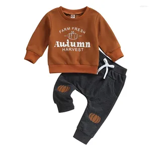 Kläder sätter Fepege Toddler Baby Boy Halloween outfit långärmad pumpa tröja byxor set söta hösten vinterkläder