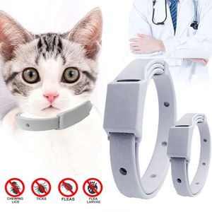 Colar de carrapato anti -pulga para gato cão pequeno antiparasitário 8 meses Proteção ajustável Puppy Kitten Collar Breakaway Pet Acessórios 240429