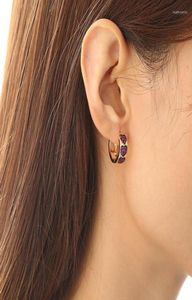 Hoopörhängen FunMode Charm Multicolor Cubic Zircon Pave Heart Small For Women Gold Buckle Earring Brincos hela FE1468079925