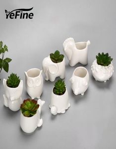 Yefine Creative Ceramic Flowerpot Planter Garden Planters Jardin Bonsaiデスクジューシーな植木鉢かわいい動物ポットY2007093671700