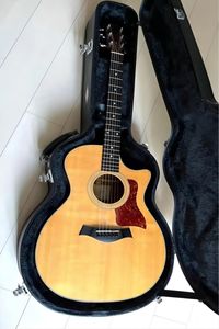 314CE Acoustic Guitar som samma av bilderna