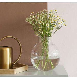 Vaser transparent glasvasdekoration Enkelt vardagsrum blomma arrangemang torkad kreativ hydroponisk grön