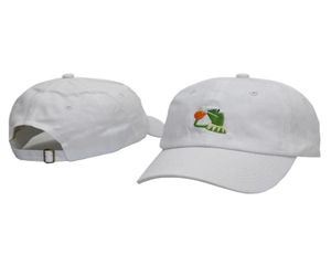 Kermit The Frog Caps Модная вышитая бейсбольные шляпы 5 Регулируемая кепка Street Style Snapback Casual Ball Cap 8222238