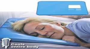 Hela sommarmassagerterapiinsatsen Chillow Pad Mat Muscle Relief Cooling Gel Pillow 6961513