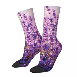 Women Socks Lavender Stockings Purple Flowers Print Graphic Funny Autumn Anti Bacterial Men Outdoor Sports Quality