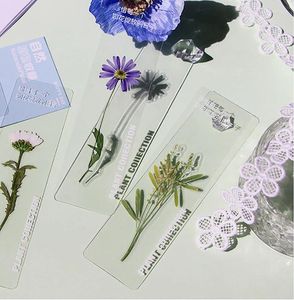 Pcs PET Transparent Bookmarks Dry Flower Relief Natural Plant Specimens Literature And Creativity Handbook Reading Bookfolder