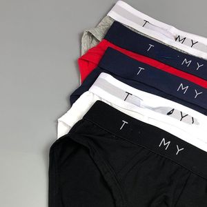 Triangle T Underwear for Men Breathable Cotton Triangle Underwear