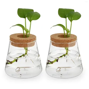 Вазы 2 ПК тестовая трубка эко -бутылка декор офис декор столовый стол ваза деревянные гидропонические растения террариум