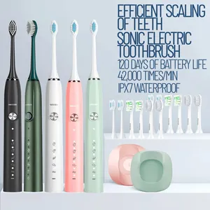 Couple Sonic Electric Toothbrush Small Fresh 6-speed Hollow Cup USB Charging Household Waterproof Soft Fur Automatic And Conveni