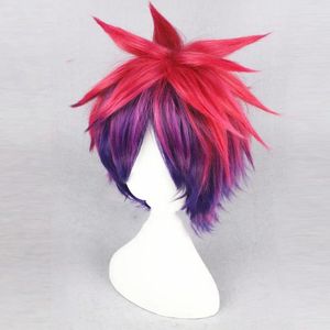 Articoli per feste Anime No Game Life Sora Parrucca cosplay Parrucche sintetiche resistenti al calore a colori misti a strati soffici Cappuccio gratuito