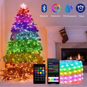 Strängar WS2812B USB LED DreamColor Fairy String Lights Bluetooth Christmas Wedding Decoration Bedroom Holiday Lighting Waterproof