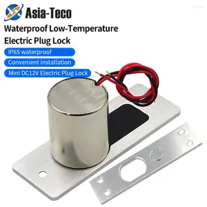 Smart Lock Mini DC12V Waterproof Electric Drop Bolt Bezpieczne Bezpieczne elektroniczne drzwi wpuszczane w niską temperaturę dla systemu kontroli dostępu