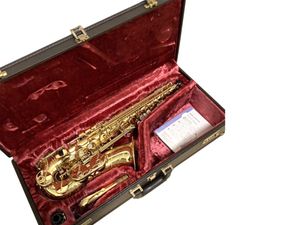 Estojo rígido para instrumento musical de saxofone alto YAS 875