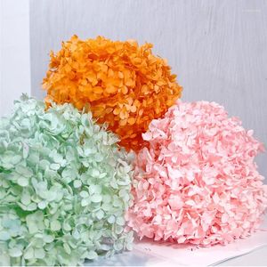 Flores decorativas brancas hortênsia flor real natural seco buquê chegadas em 2024 imortalidade flores secas para resina epóxi