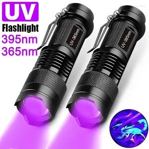 Taschenlampen Taschenlampen UV-Taschenlampe LED-UV-Taschenlampe Zoombare Mini-Ultraviolettlichter 395/365 nm Inspektionslampe Haustier-Urinfleckendetektor