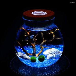 Nattlampor 11 cm runda glasburk terrarium med färgglada LED -ljusa kork mikrolandskap ekologiska flaskor