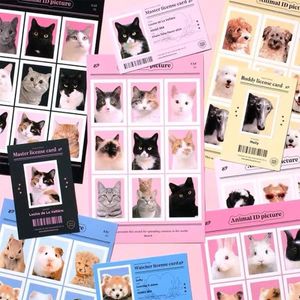 Hediye sargısı Korea Ins Sevimli Hayvan Kedi Köpek Hesabı Arka plan çıkartması DIY Scrapbooking Journal Collage Mobil Diary Albüm Dekorasyon