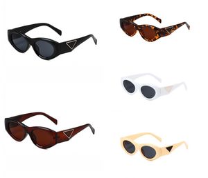 Novos óculos de sol casuais elegantes com caixa de óculos polarizados